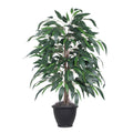4 Mango Bush In Gray Plastic Pot