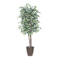 6 Variegated Deluxe Round Brown Cont