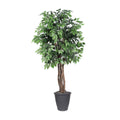 6 Ficus Executive Round Gray Container