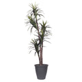6 Marginata Executive Round Gray Cont
