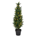 3 Cedar Tree Uv 50Ww Led