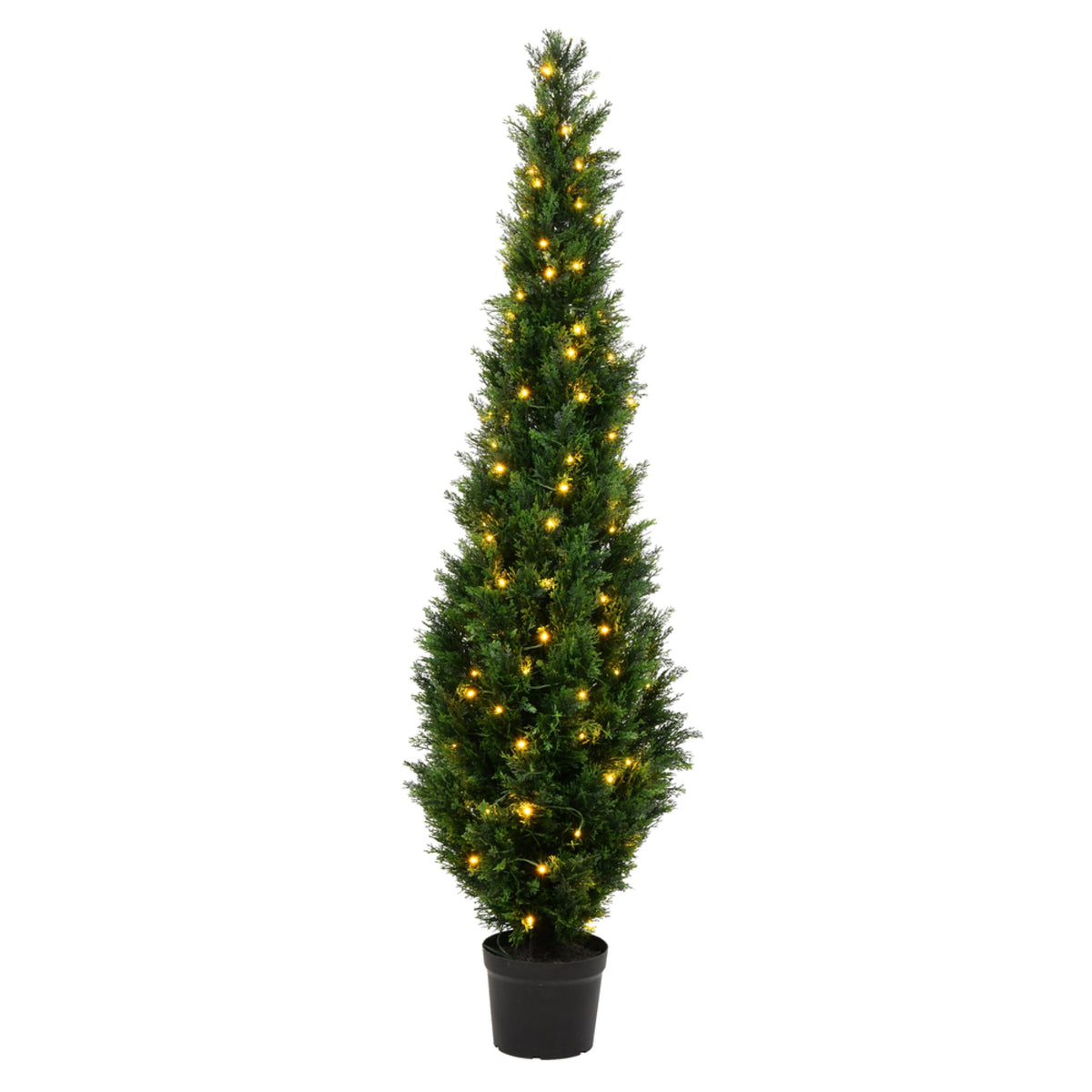 6 Cedar Tree Uv 140Ww Led