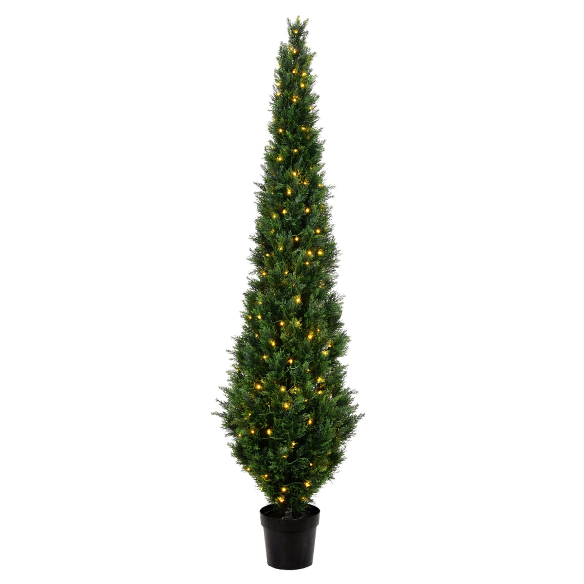 8 Cedar Tree Uv 200Ww Led