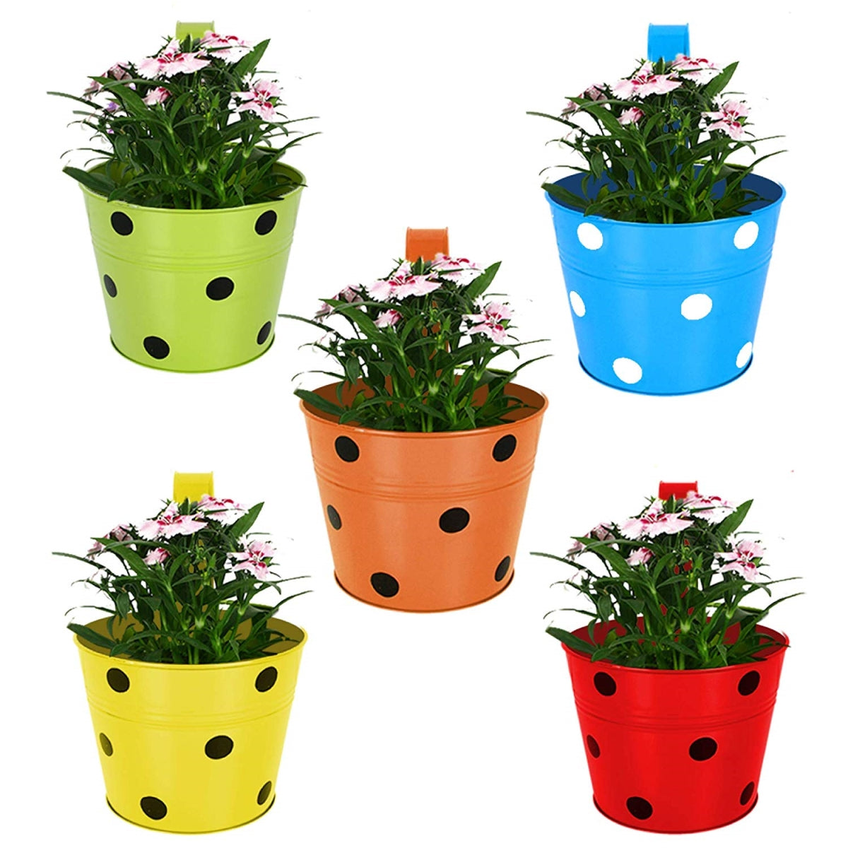 Deroma 225964 8.3 X 6.4 In. Round Duo Planter  Grafite - Pack Of 10