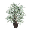 4 Silver Maple Extra Full In Plastic