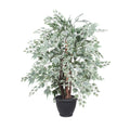 4 Silver Maple Extra Full In Gray Pot