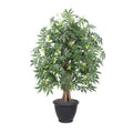 4 Japanese Maple Extra Full In Gray Pot