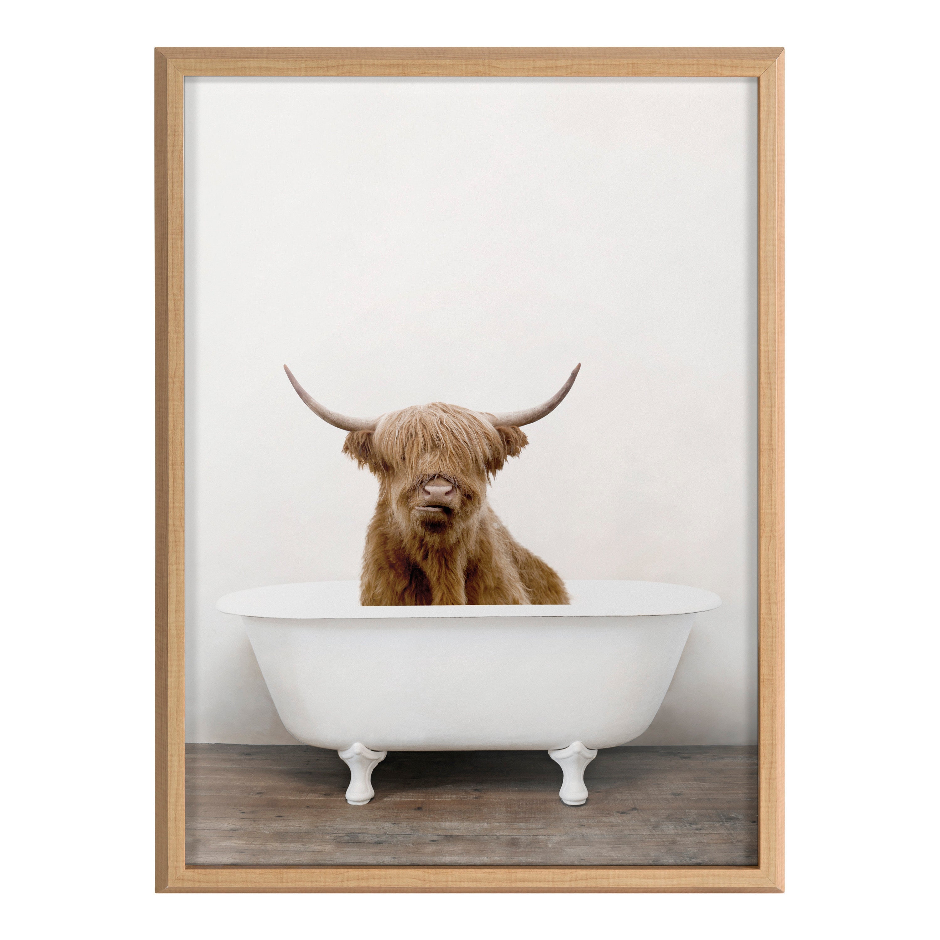 Blake Highland Cow in Tub Color Framed Printed Glass by Amy Peterson Art Studio