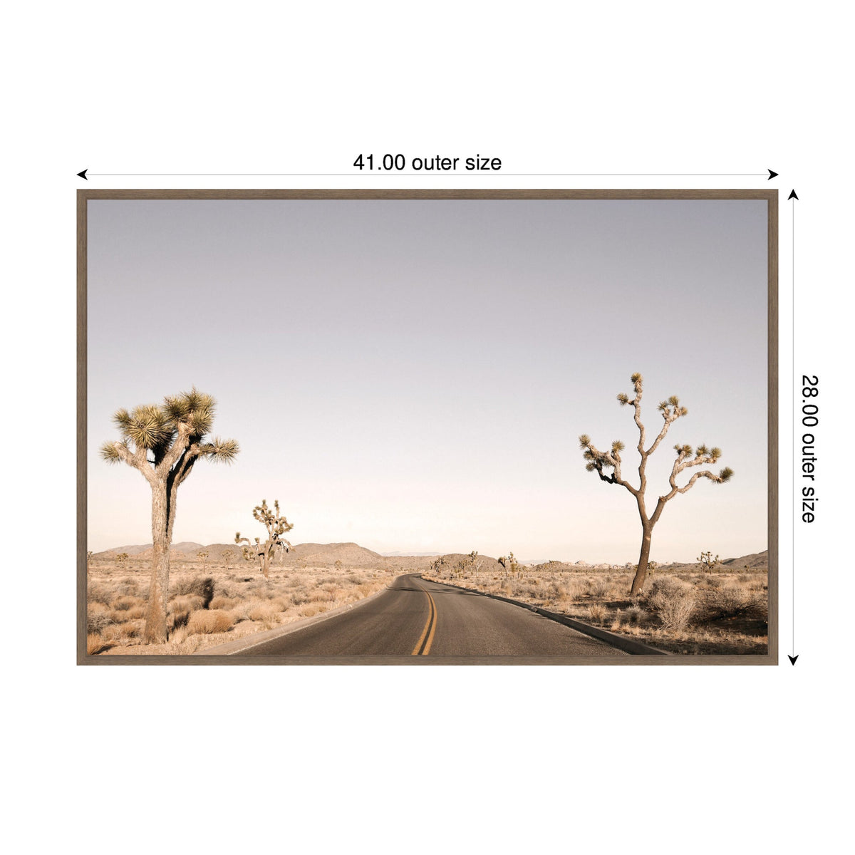 Driving Joshua Tree No. 3 by Alicia Bock Framed Canvas Wall Art Print