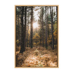 Sylvie A Walk in the Woods Framed Canvas by Patricia Hasz