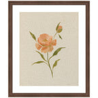 AQ Simple Bloom No 7 by Annie Quigley Framed Wall Art Print