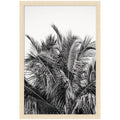 No 13 by Alicia Bock Framed Wall Art Print