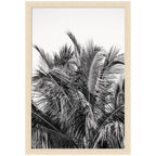 No 13 by Alicia Bock Framed Wall Art Print