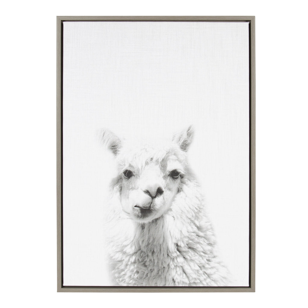 Sylvie Alpaca Framed Canvas by Simon Te of Tai Prints