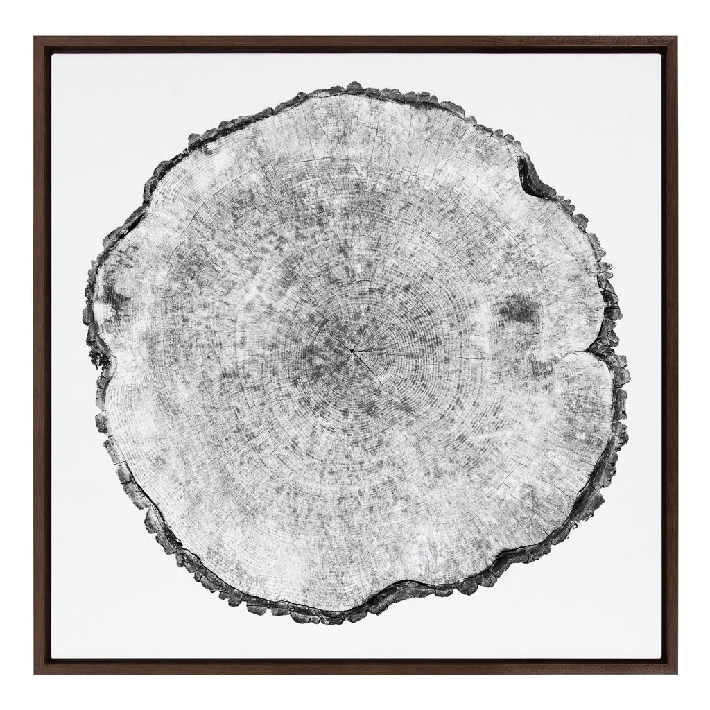 Sylvie Tree Rings Framed Canvas by Emiko and Mark Franzen of F2Images