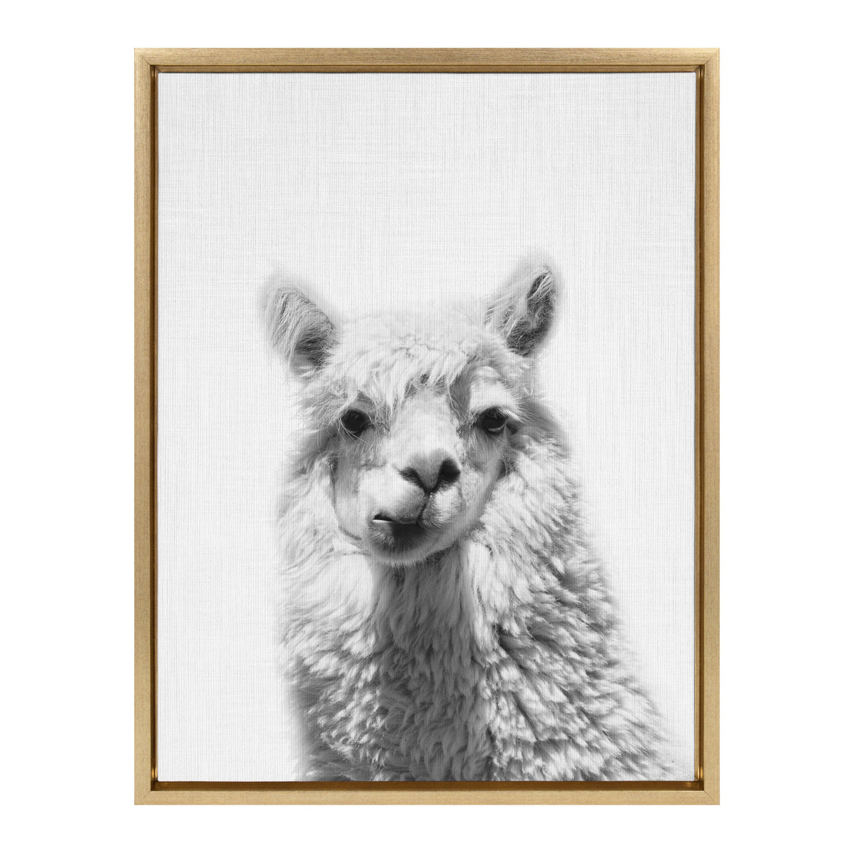 Sylvie Alpaca Framed Canvas by Simon Te of Tai Prints