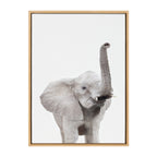 Sylvie Young Elephant Framed Canvas by Amy Peterson