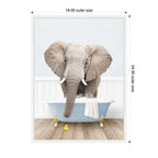 Sylvie Elephant Front in Cottage Blue Bathtub Framed Canvas by Amy Peterson
