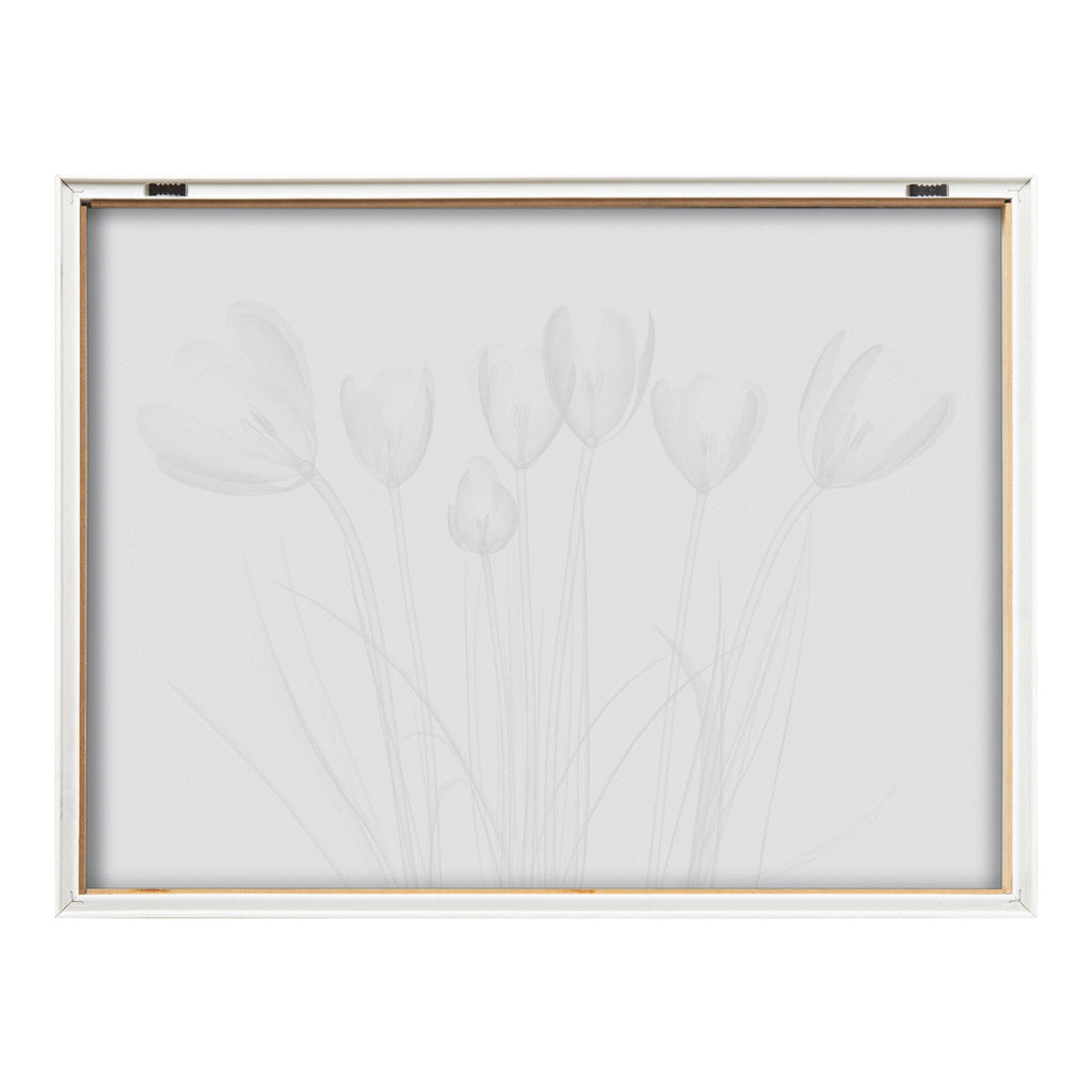 Blake Crocus X Ray Floral BW Framed Printed Art by The Creative Bunch Studio