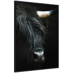 Minimalist Black Highland Cow Closeby Michael Schauer Framed Canvas Wall Art Print