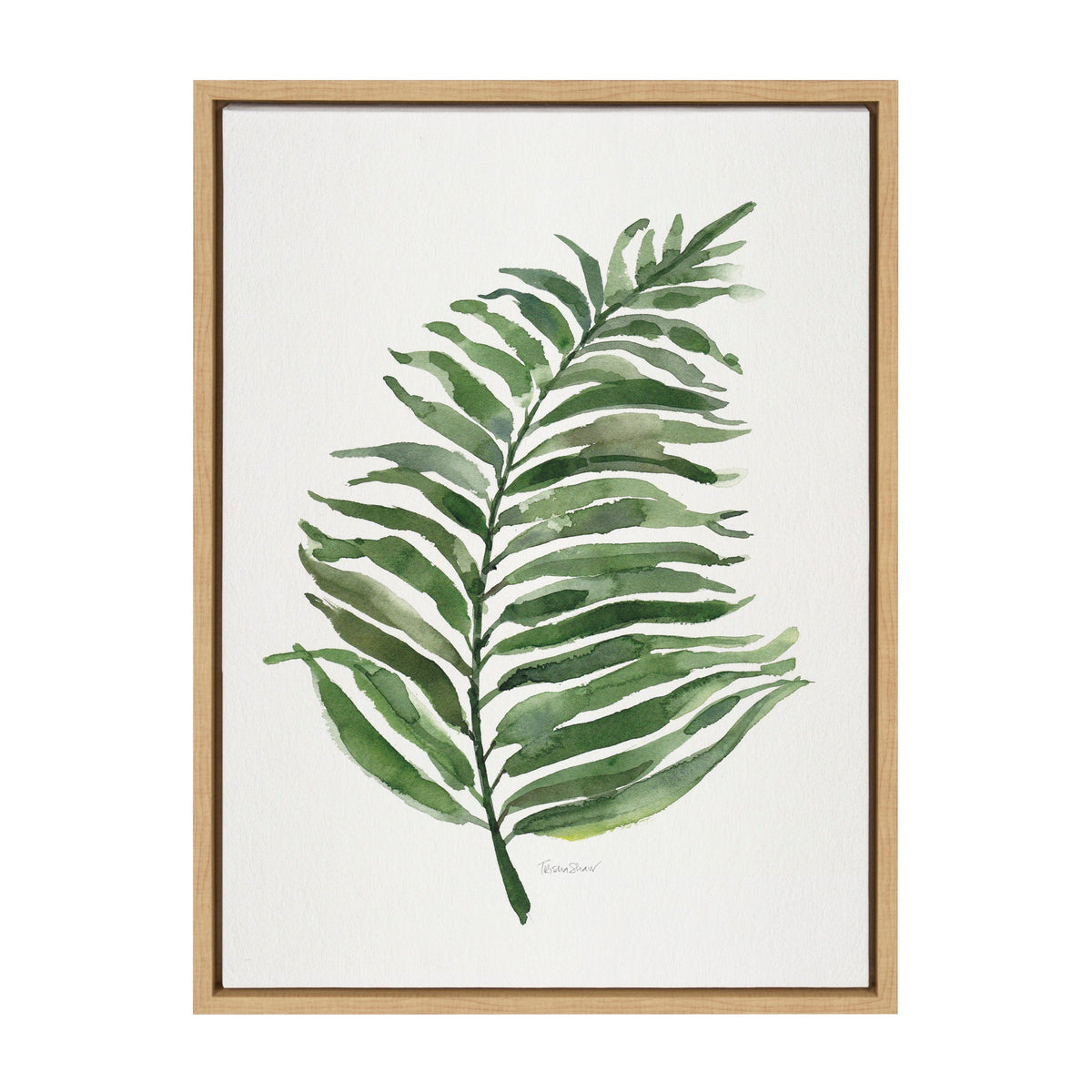 Sylvie Green Fern Framed Canvas by Patricia Shaw