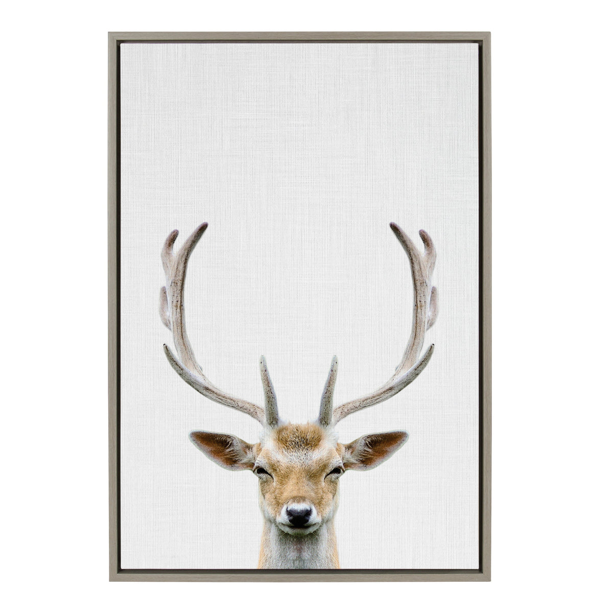 Sylvie Deer Color Framed Canvas by Simon Te of Tai Prints