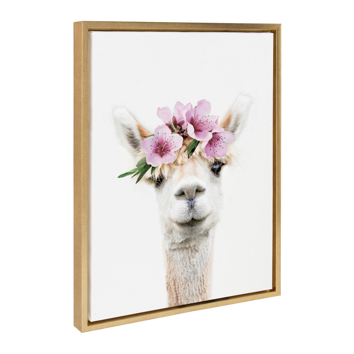 Sylvie Flower Crown Alpaca Framed Canvas by Amy Peterson Art Studio