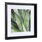 Calter Succulent Leaves Framed Print Art Set by Amy Peterson