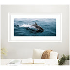 Framed Art Dolphin Skipping along in the Ocean Panel by Michael Schauer