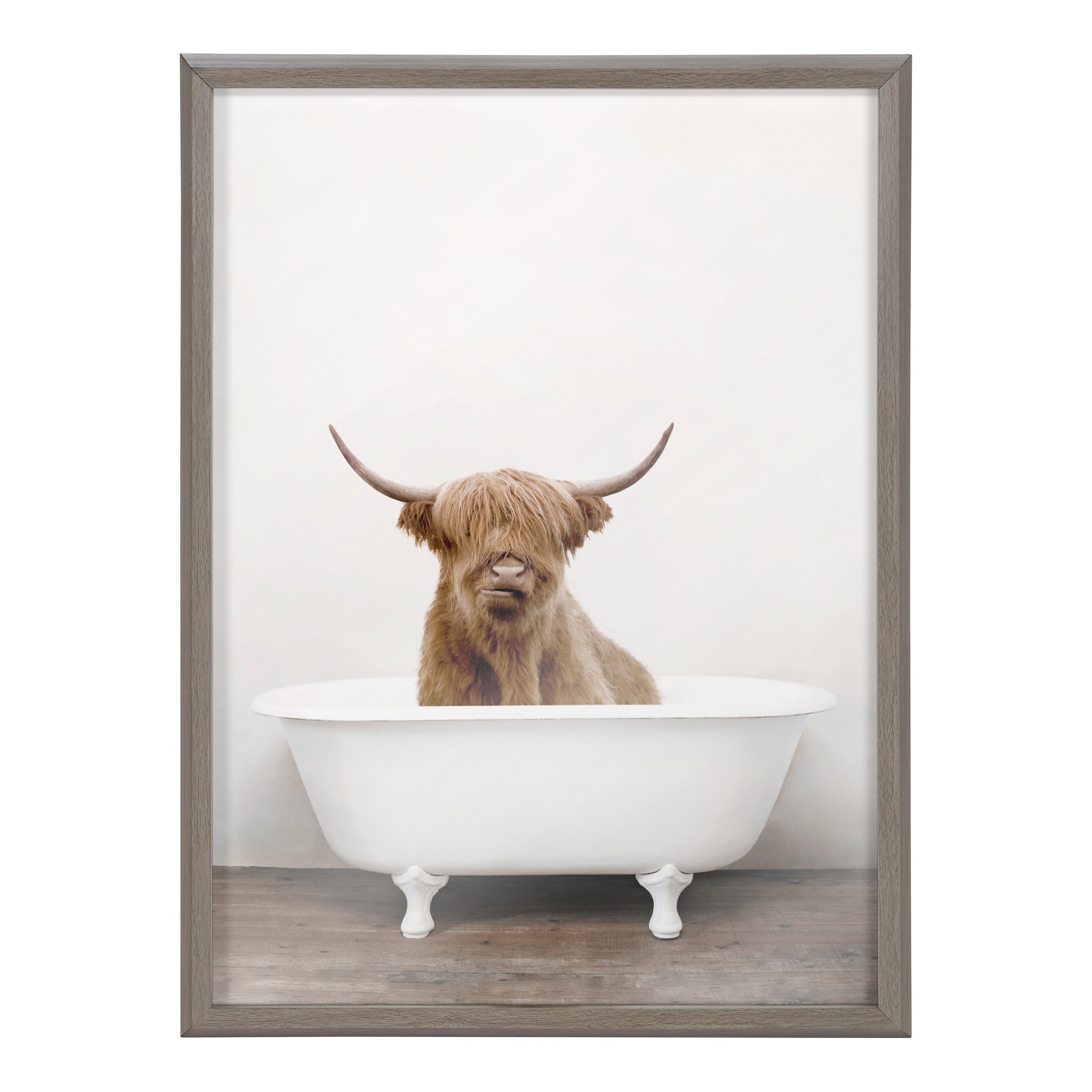 Blake Highland Cow in Tub Color Framed Printed Glass by Amy Peterson Art Studio
