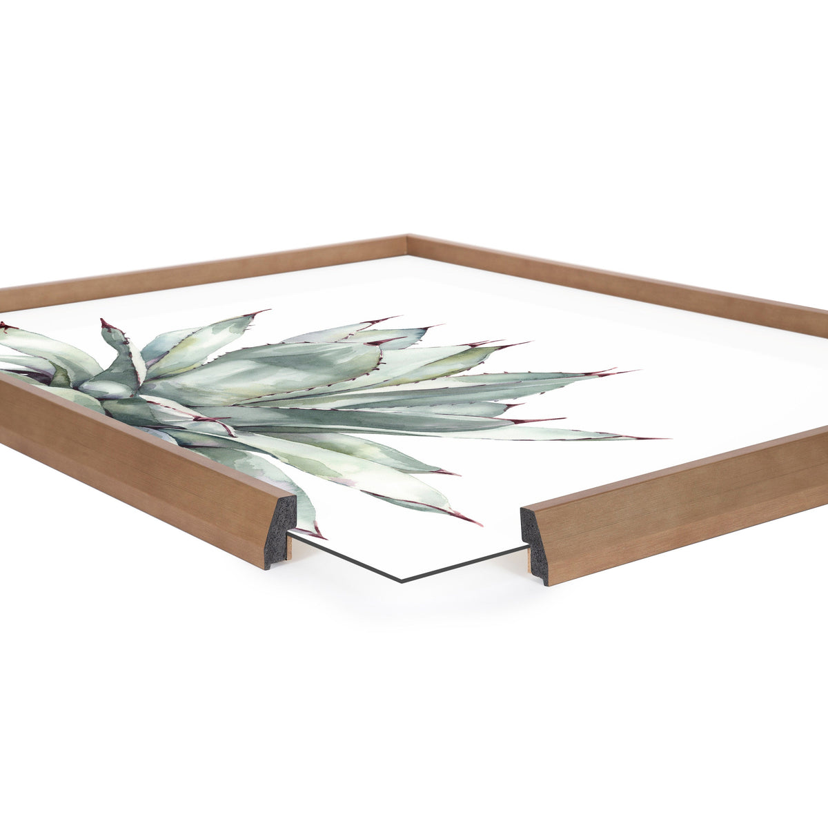 Blake Parrys Agave Framed Printed Glass by Emily Marie Watercolors