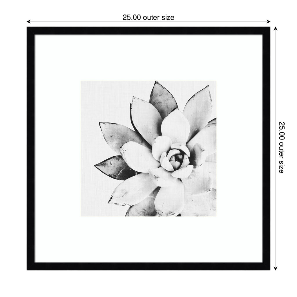 Modern Succulent by Tai Prints Framed Wall Art Print
