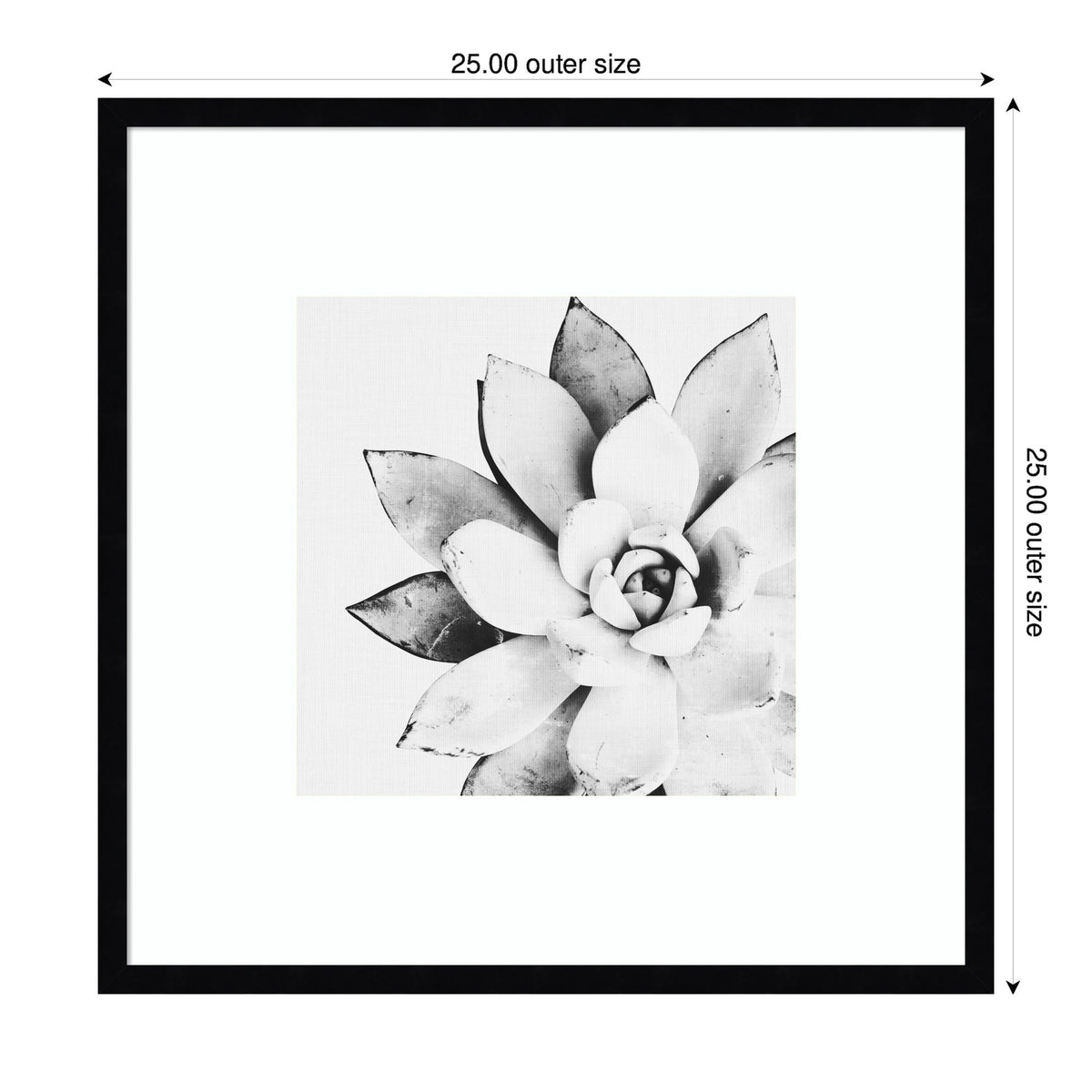 Modern Succulent by Tai Prints Framed Wall Art Print