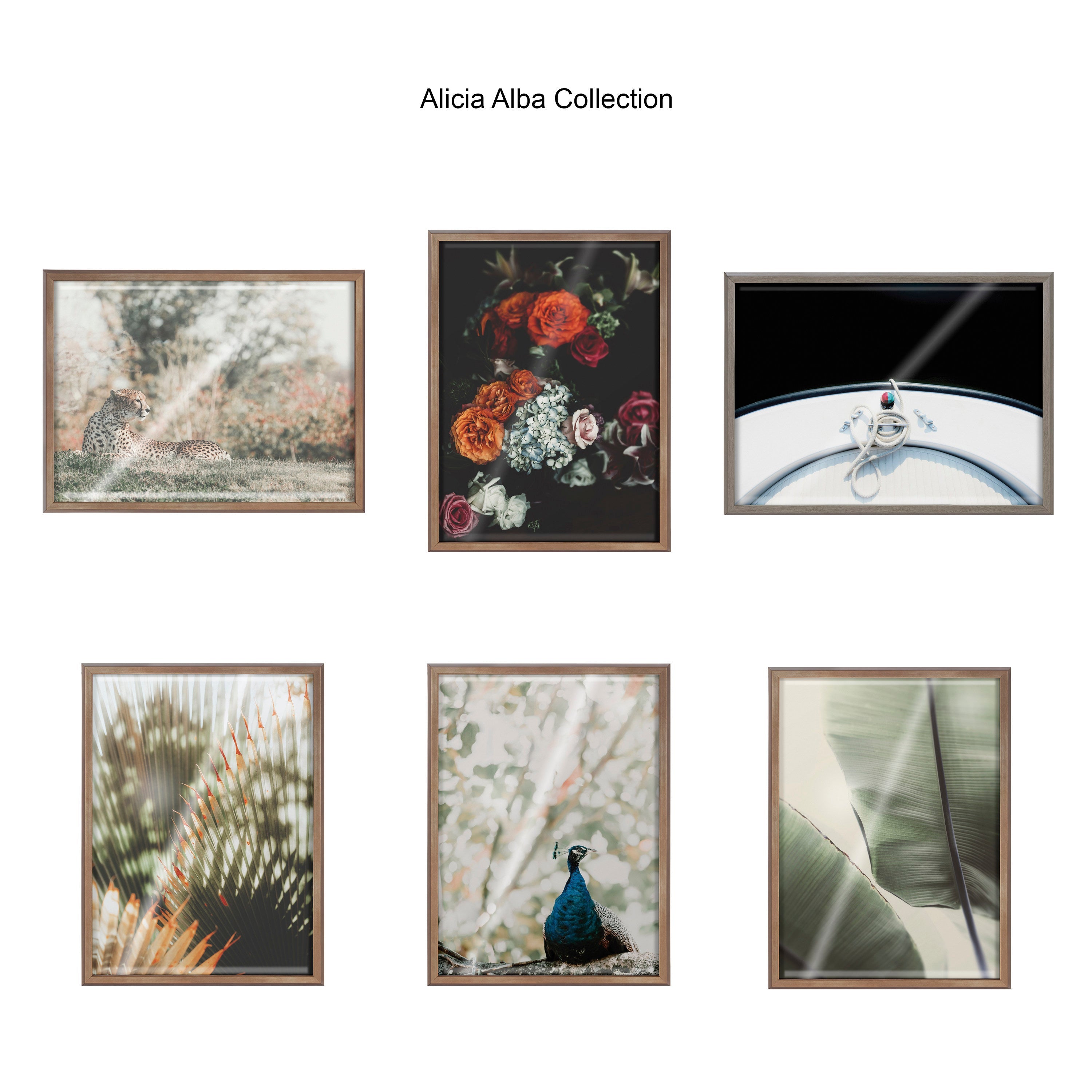 Blake Drifting Framed Printed Glass by Alicia Abla
