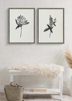 Sylvie Vintage Botanical 1 and 2 Framed Canvas by Teju Reval of SnazzyHues