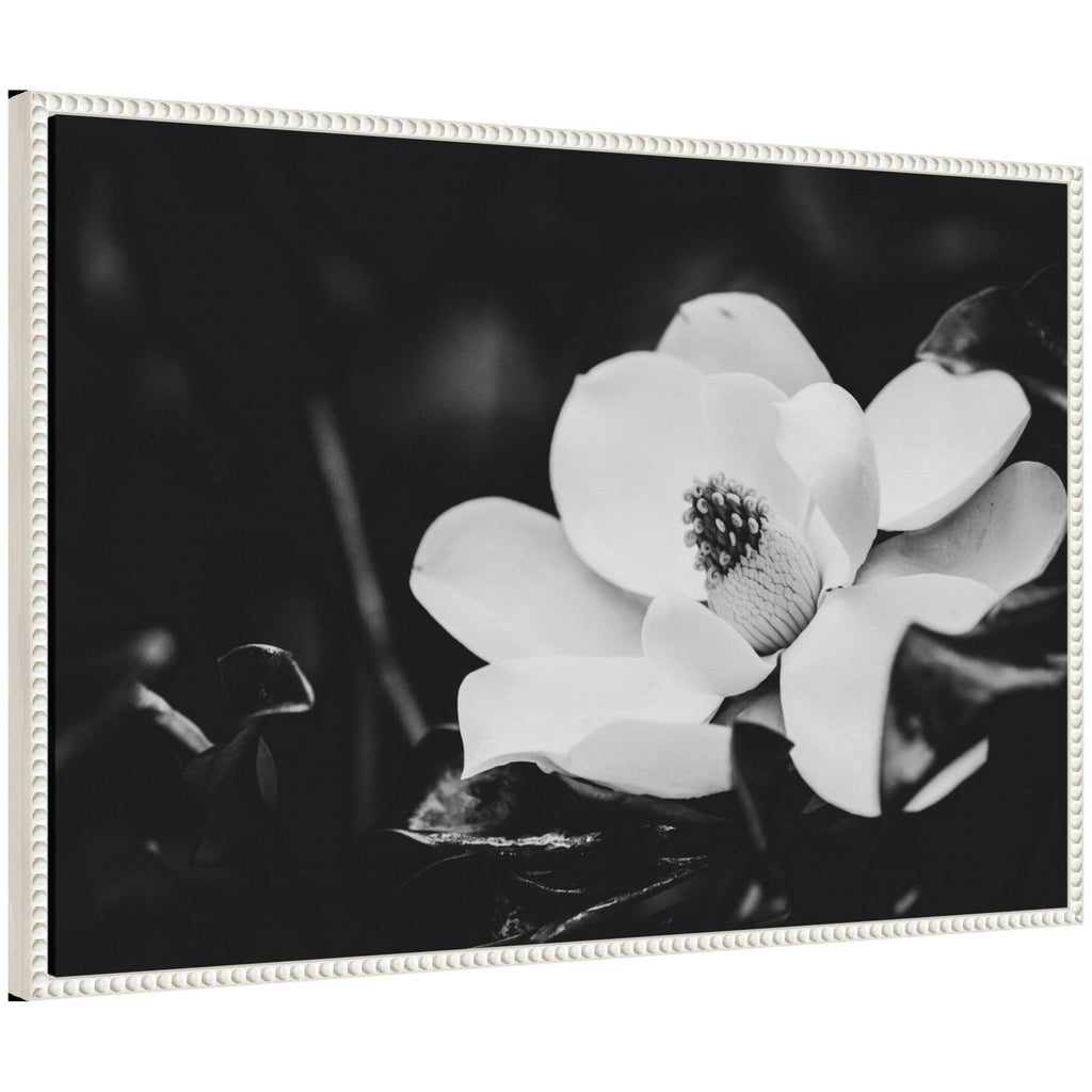 Sylvie Magnolias Framed Canvas by Alicia Abla