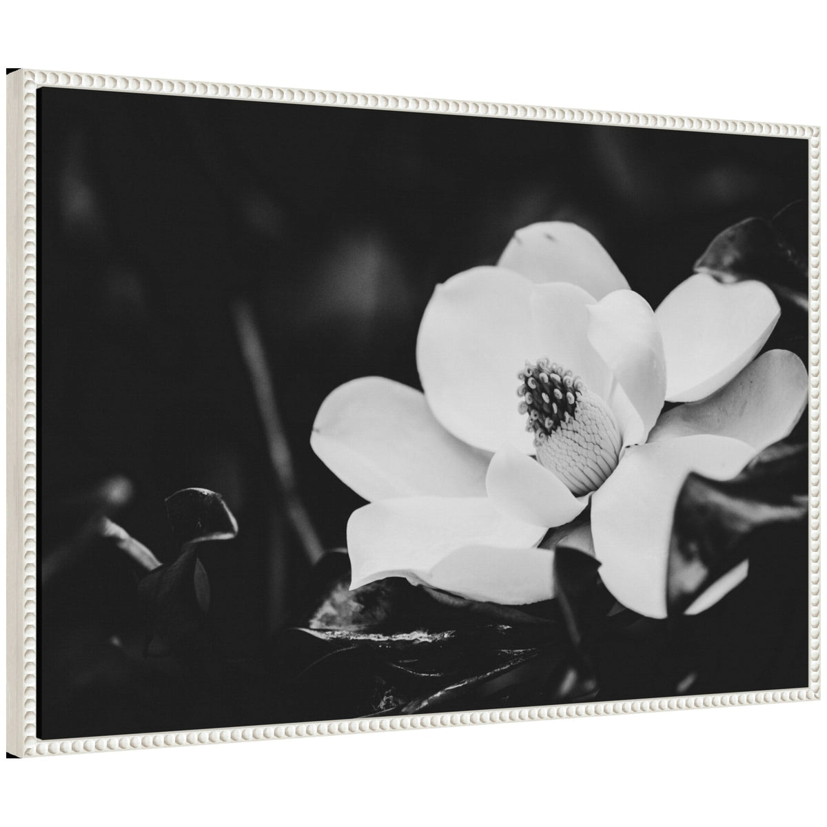 Sylvie Magnolias Framed Canvas by Alicia Abla