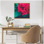 Sylvie Red Velvet Garden Rose Framed Canvas by Stephanie Klatt