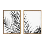 Sylvie Palm I and II BW Framed Canvas by Amy Lighthall