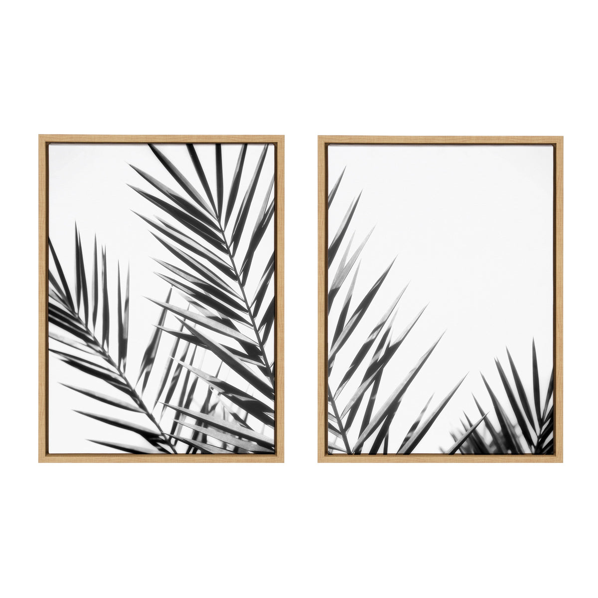 Sylvie Palm I and II BW Framed Canvas by Amy Lighthall