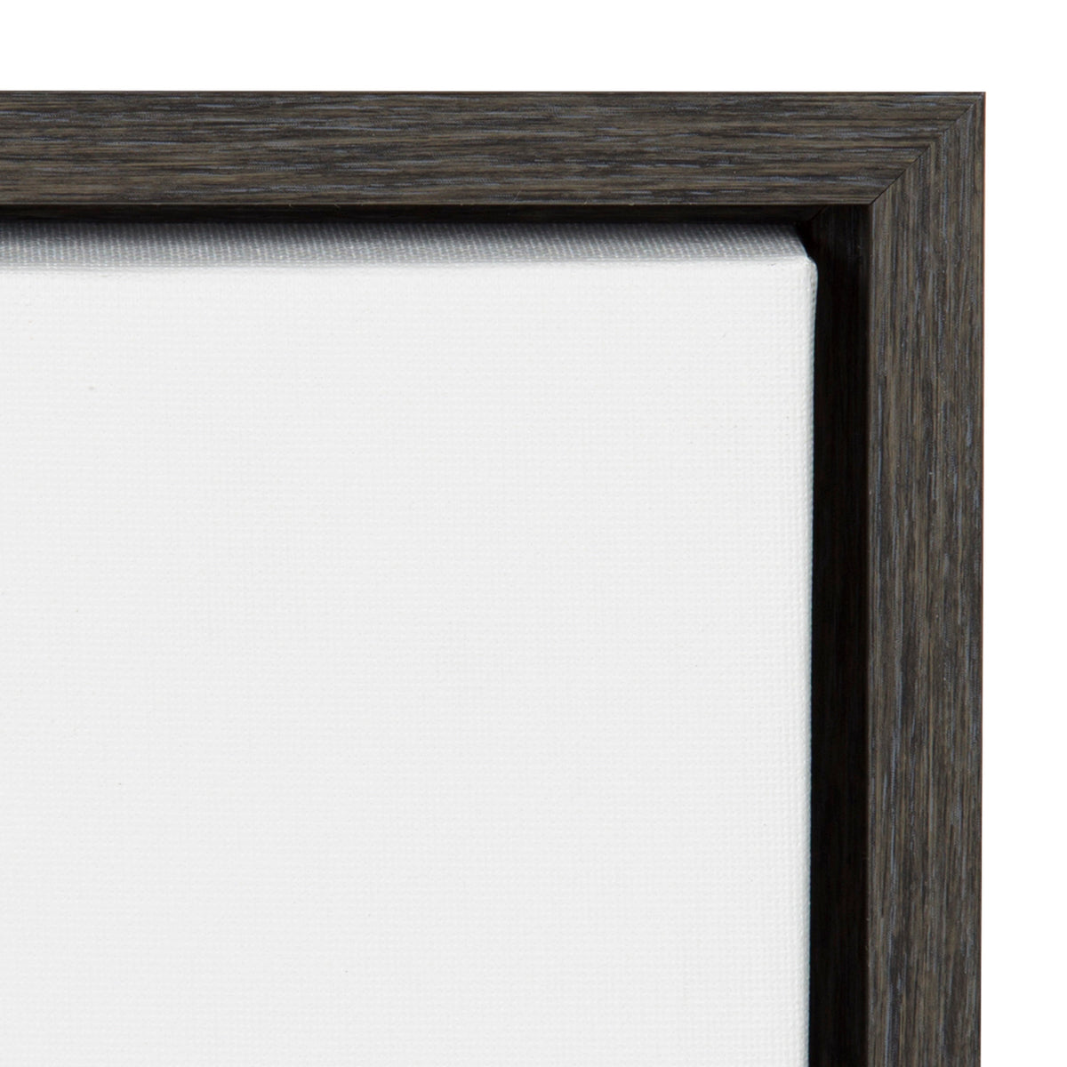 Sylvie Highland Cow Framed Canvas by Amy Peterson Art Studio