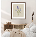 AQ Simple Bloom No 2 by Annie Quigley Framed Wall Art Print