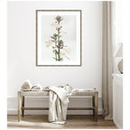 Framed Art Hosta by Alicia Abla