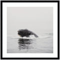 Humpback Whale No. 4 by Laura Evans Framed Wall Art Print