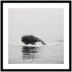 Humpback Whale No. 4 by Laura Evans Framed Wall Art Print