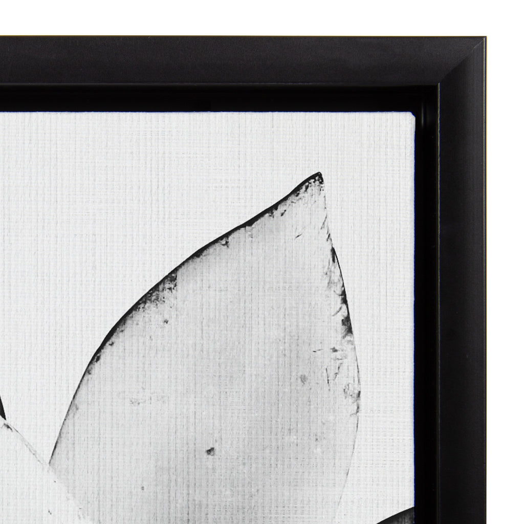 Sylvie Succulent Framed Canvas by Simon Te of Tai Prints