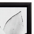 Sylvie Succulent Framed Canvas by Simon Te of Tai Prints