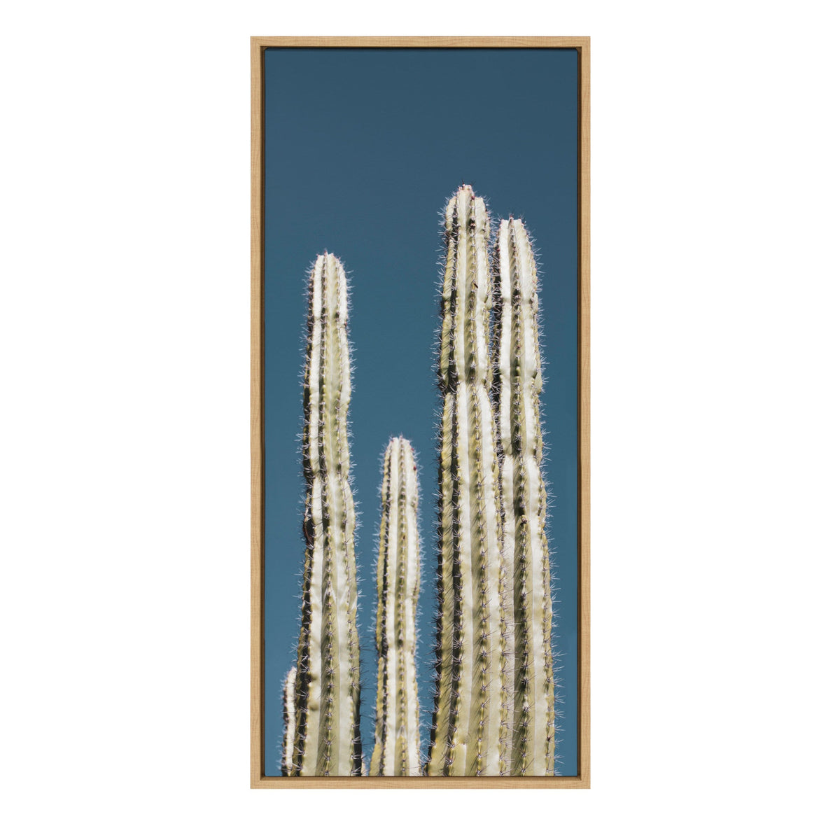 Sylvie Cactus Sky Framed Canvas by Stephanie Klatt