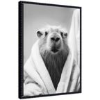 Sylvie Capybara Bathroom Art Towel Robe Black and White Framed Canvas by The Creative Bunch Studio