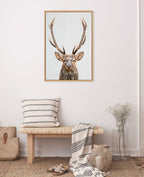 Sylvie The Red Deer Color Framed Canvas by Simon Te of Tai Prints